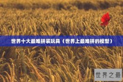 世界十大最难拼装玩具（世界上最难拼的模型）