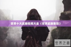 世界十大武器视频大全（世界武器集锦）