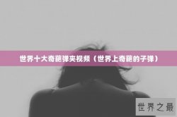 世界十大奇葩弹夹视频（世界上奇葩的子弹）