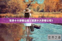 世界十大悲情公司（世界十大悲情公司）