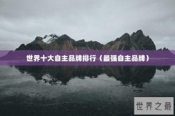 世界十大自主品牌排行（最强自主品牌）