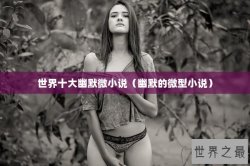 世界十大幽默微小说（幽默的微型小说）
