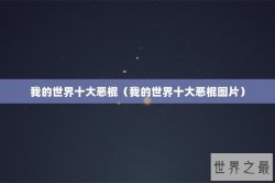 我的世界十大恶棍（我的世界十大恶棍图片）