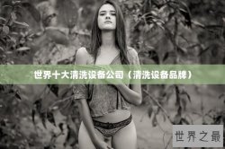 世界十大清洗设备公司（清洗设备品牌）