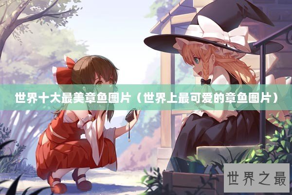 世界十大最美章鱼图片（世界上最可爱的章鱼图片）