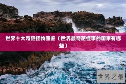 世界十大奇葩怪物图鉴（世界最奇葩怪事的国家有哪些）