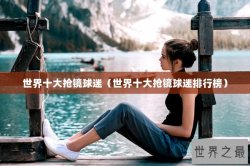 世界十大抢镜球迷（世界十大抢镜球迷排行榜）