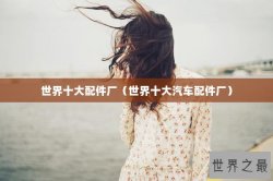 世界十大配件厂（世界十大汽车配件厂）