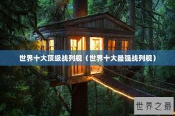 世界十大顶级战列舰（世界十大最强战列舰）