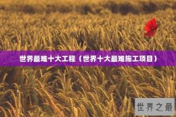 世界最难十大工程（世界十大最难施工项目）