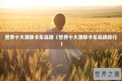 世界十大漂移卡车品牌（世界十大漂移卡车品牌排行）