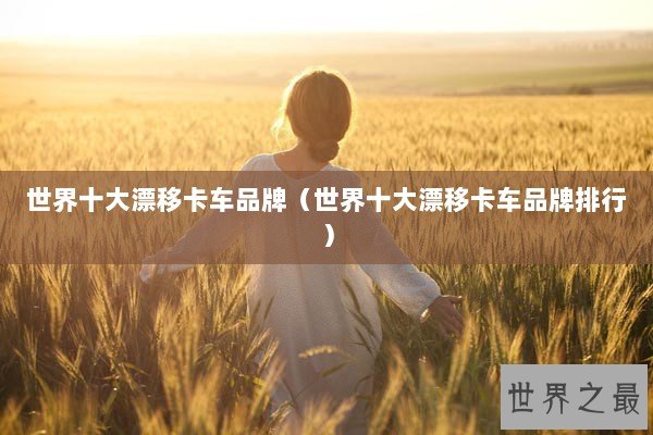 世界十大漂移卡车品牌（世界十大漂移卡车品牌排行）