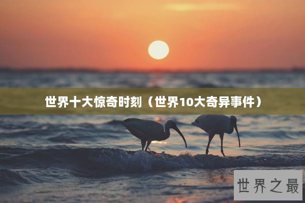世界十大惊奇时刻（世界10大奇异事件）