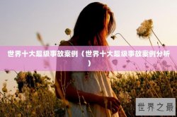 世界十大超级事故案例（世界十大超级事故案例分析）