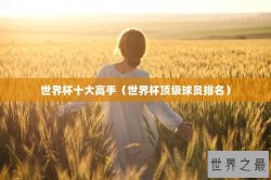 世界杯十大高手（世界杯顶级球员排名）