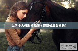 世界十大模型机品牌（模型机怎么样的）