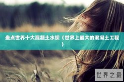 盘点世界十大混凝土水坝（世界上最大的混凝土工程）