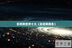 吉尼斯世界十大（吉尼斯得名）