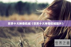 世界十大神奇机械（世界十大神奇机械图片）