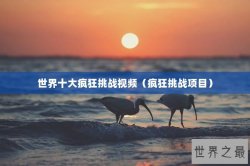 世界十大疯狂挑战视频（疯狂挑战项目）