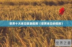 世界十大末日景象视频（世界末日的视频）