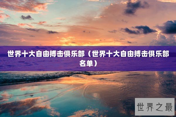 世界十大自由搏击俱乐部（世界十大自由搏击俱乐部名单）