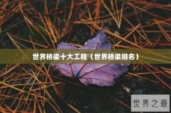 世界桥梁十大工程（世界桥梁排名）