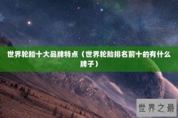 世界轮胎十大品牌特点（世界轮胎排名前十的有什么牌子）