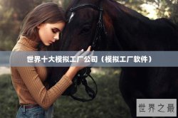 世界十大模拟工厂公司（模拟工厂软件）