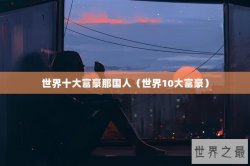 世界十大富豪那国人（世界10大富豪）