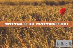 世界十大电路工厂排名（世界十大电路工厂排名）