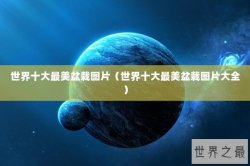 世界十大最美盆栽图片（世界十大最美盆栽图片大全）