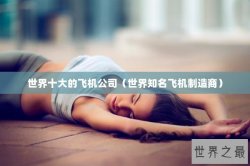 世界十大的飞机公司（世界知名飞机制造商）