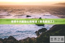 世界十大搬运公司电话（著名搬运工）