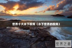 世界十大水下视频（水下世界的视频）