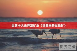 世界十大未开发矿业（世界未开发铁矿）
