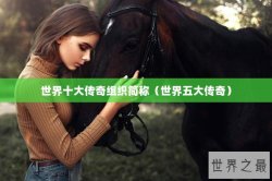 世界十大传奇组织简称（世界五大传奇）