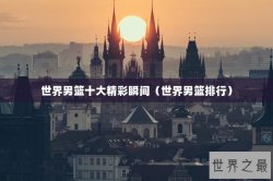 世界男篮十大精彩瞬间（世界男篮排行）