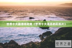世界十大最漂亮花束（世界十大漂亮的花照片）