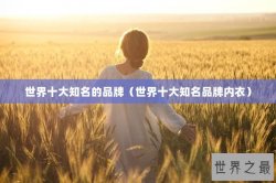 世界十大知名的品牌（世界十大知名品牌内衣）