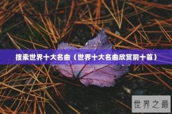 搜索世界十大名曲（世界十大名曲欣赏前十首）