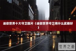 迷你世界十大守卫图片（迷你世界守卫用什么武器好）