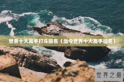 世界十大高手打斗排名（当今世界十大高手排名）
