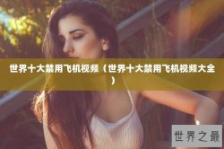 世界十大禁用飞机视频（世界十大禁用飞机视频大全）