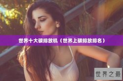 世界十大碳排放机（世界上碳排放排名）