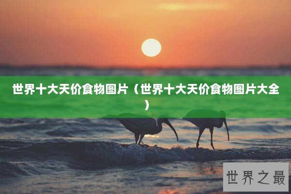 世界十大天价食物图片（世界十大天价食物图片大全）