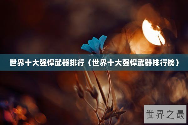 世界十大强悍武器排行（世界十大强悍武器排行榜）