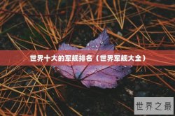世界十大的军舰排名（世界军舰大全）