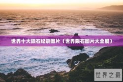 世界十大陨石纪录图片（世界陨石图片大全展）