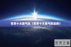 世界十大蒸气机（世界十大蒸气机品牌）